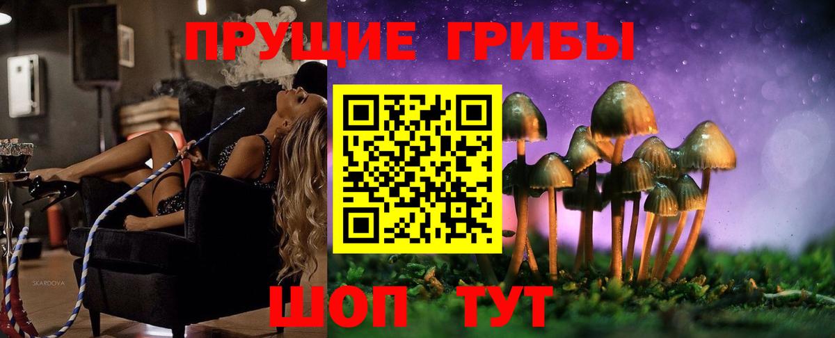 Нижний Новгород  как найти закладки  Вход с VPN  Галлюциногенные грибы Psilocybe 